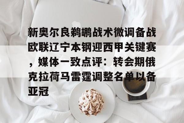 模拟器试玩-马穆凯拉什维利加盟猛龙