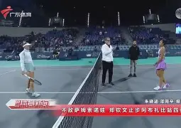 模拟器试玩-科维托娃最新消息